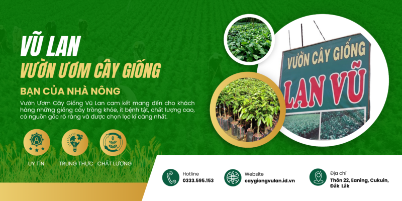 Chính sách bảo mật thông tin