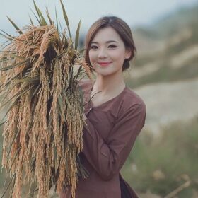 Trang chủ 589c1f01a5383e65581fe68ec58bb6ba