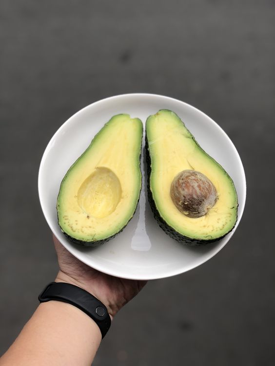Cách trồng cây bơ từ hạt