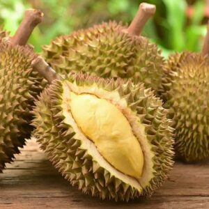 Giống sầu riêng