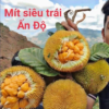 Giống mít Ấn Độ